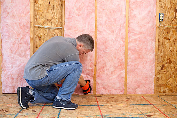 Best Insulation Contractors for Homes  in Paisley, FL